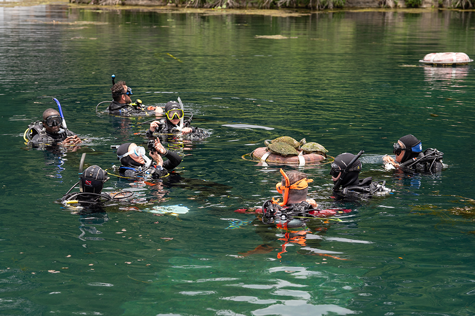 Scuba Class in Water