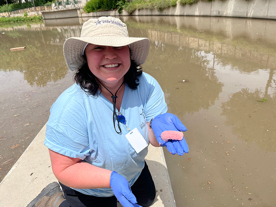 Intern with Apple Snail Egg Case