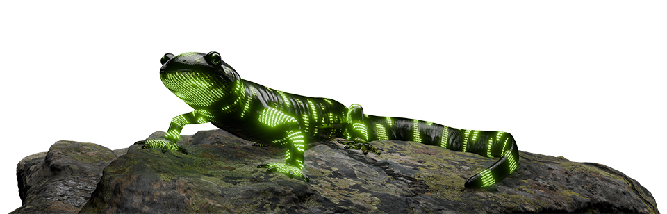 Futuristic Salamander